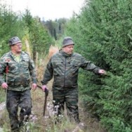 Военная служба засчитывается в госстаж, но не для дополнительного отпуска