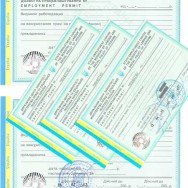Вы планируете реализовать свои бизнес — идеи на территории Украины, но относитесь к гражданству другого государства. Как легализовать свое пребывание и деятельность на территории Украины.