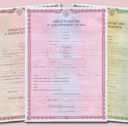 Мораторий распространяется на проверки органами лицензирования