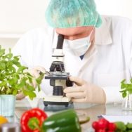 Госпродпотребслужба должна активнее реагировать на факты нарушений прав потребителей