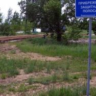 Депутат предлагает усилить ответственность за незаконную застройку прибрежных защитных полос