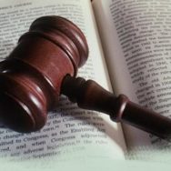 Верховный Суд Украины выразил правовую позицию о правилах предоставления (передачи) земельных участков для ведения фермерского хозяйства