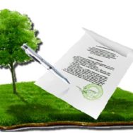 Мораторий на отчуждение земельных участков сельскохозяйственного назначения продлен до 1 января 2018 г.