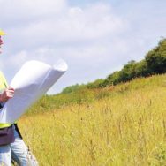 Контролировать качество зерна будет Госпродпотребслужба