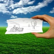 Как подтвердить происхождение собственной сельхозпродукции