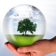 Как будут продавать земли: зарегистрирован законопроект