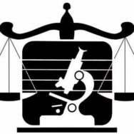 Возмещение средств за ненадлежаще проведенную експертизу: позиция ВССУ