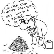 Определен порядок проведения проверок инспекторами по труду