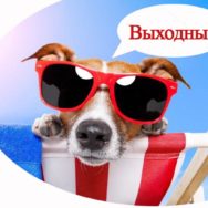 Как хотят перенести рабочие дни в связи с праздниками в 2018 году?