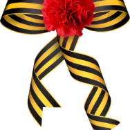 Вводится ответственность за пропаганду георгиевской ленты