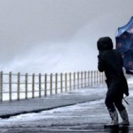 На свидание с ребенком госисполнитель может привлечь органы опеки