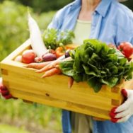 Определены правила господдержки агробизнеса в 2018 году