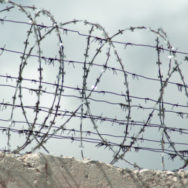 Рада приняла закон о защите заключенных украинцев за рубежом