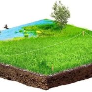 Кому необхідно сплачувати податок за землю та хто від сплати звільняється, деталі далі