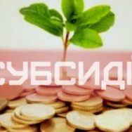 Які суди розглядають спори щодо відновлення права на отримання субсидій: ВП ВС