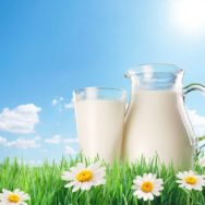 За яких умов можливо працювати продуктовим ринкам під час карантину