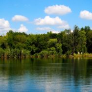 Заборонено влаштування огорож, що перешкоджають доступу громадян до берегів водойм