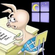 Зеленский подписал Закон об обличителях коррупции