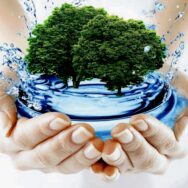 Міндовкілля поновило видачу висновків з оцінки впливу на довкілля