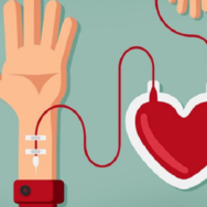 В Україні встановили вимоги до якості донорської крові