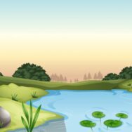 Оформление аренды земли в комплексе с расположенным на ней водным объектом: упрощена процедура