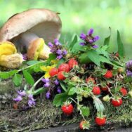 Уряд збільшив штрафи за незаконні заготівлю сіна, випасання худоби, збирання грибів та ягід